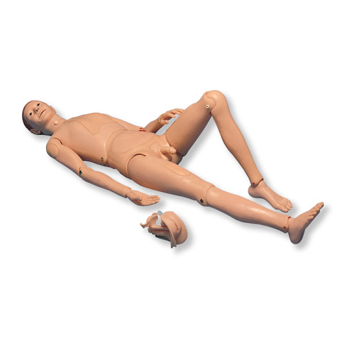 3B Scientific®病人護理模型II