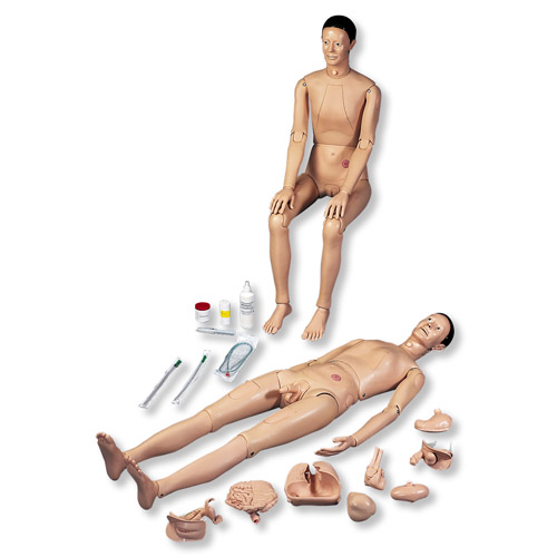 3B Scientific®病人護(hù)理模型I