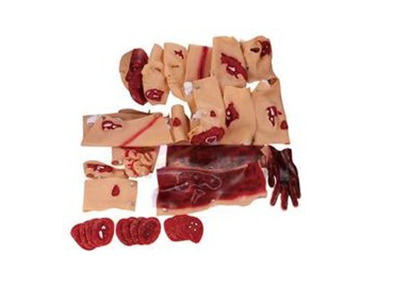 43部件創(chuàng)傷評估模塊